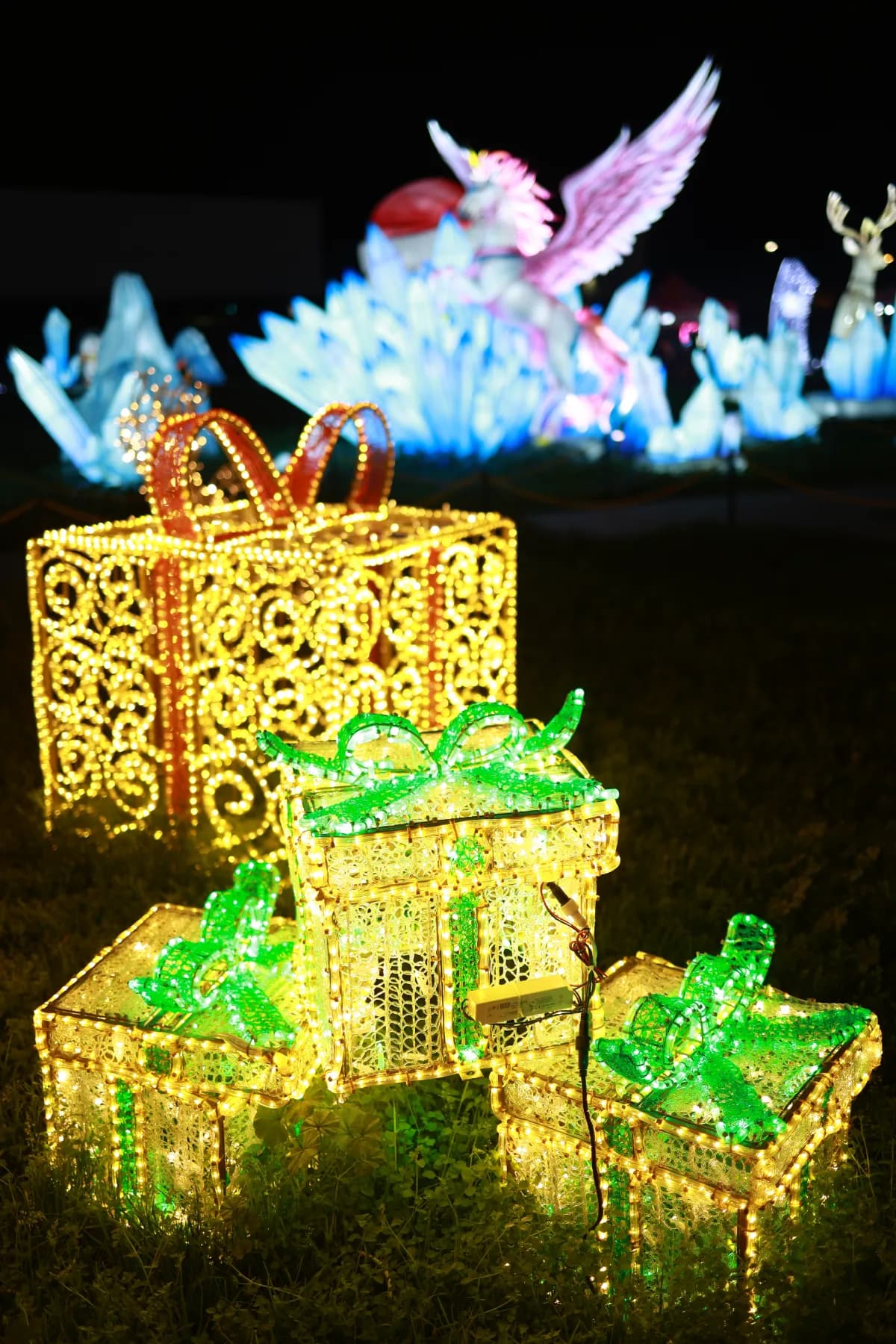 Selected young artist award