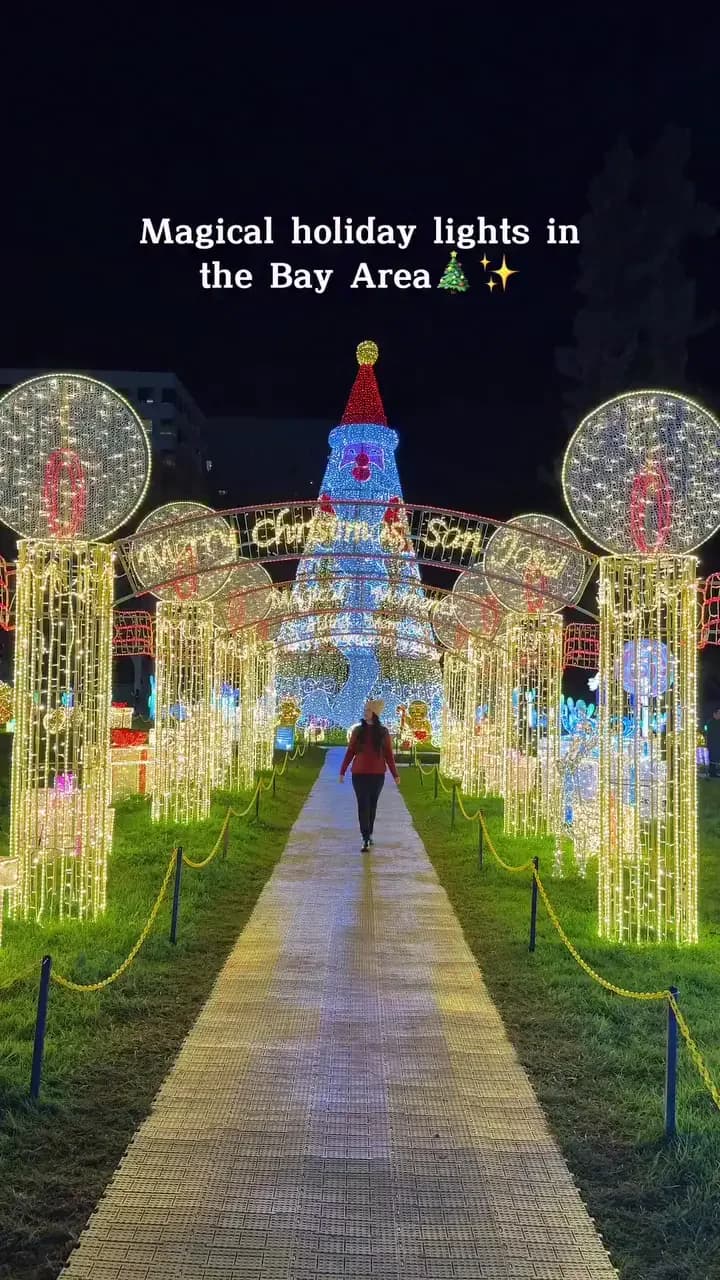 Guest showcase: ig-14